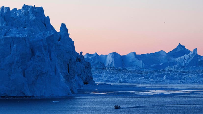 Denmark Rejects Trump's Offer of Hospital Boat to Greenland