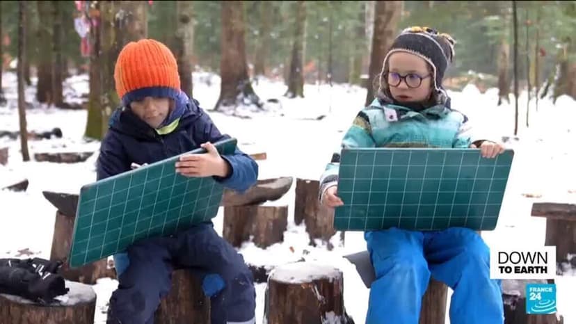 Forest Schools Teach Children Environmental Care