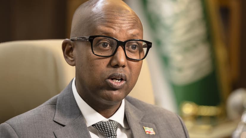 Somaliland Offers US Access to Minerals and Military Bases