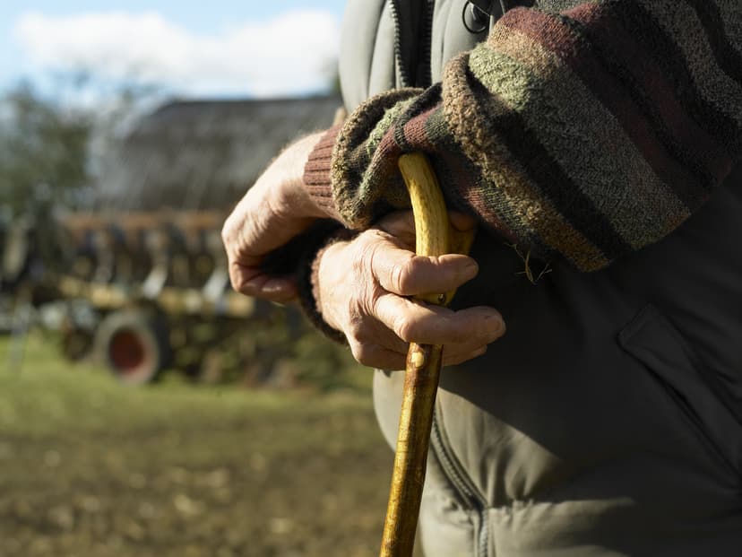 Romania's Population Aging Faster Than Europe Due to Exodus Abroad