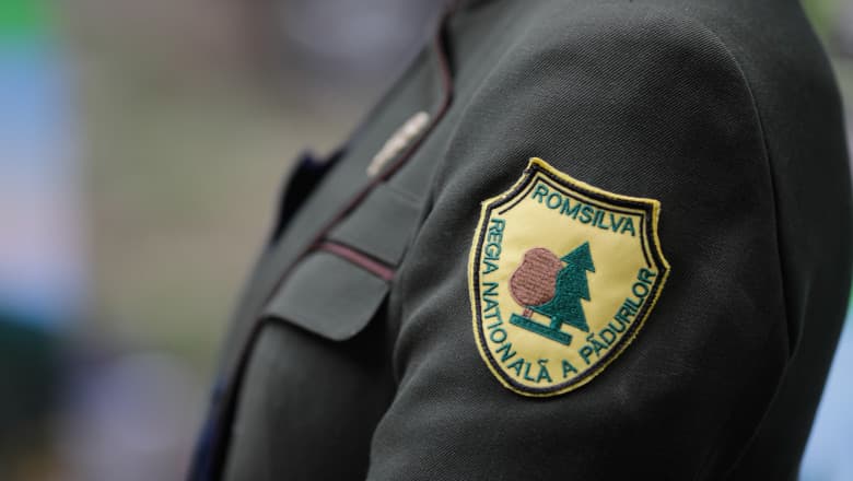 Romsilva Reform to Reduce Regional Directorates