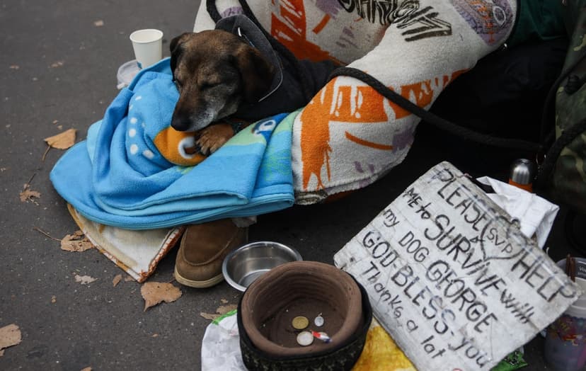 Council of Europe Criticizes French Anti-Begging Decrees