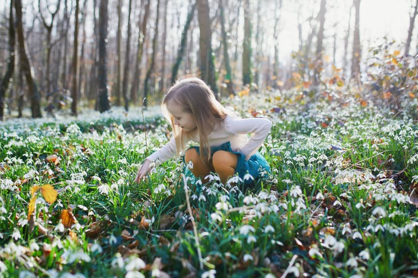 Romania's ANM Issues March Weather Forecast