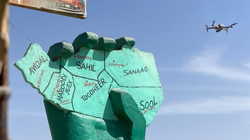 Somaliland Offers US Access to Minerals and Military Bases for Recognition