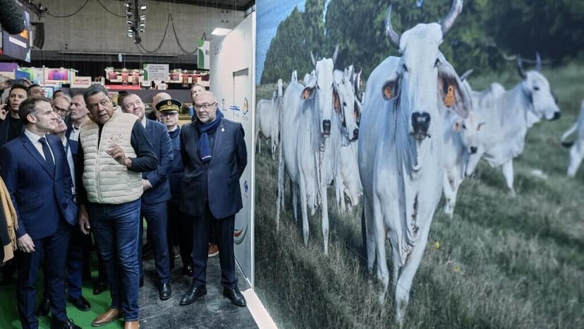 Paris Farming Show Opens Without Cattle Due to Disease Outbreak