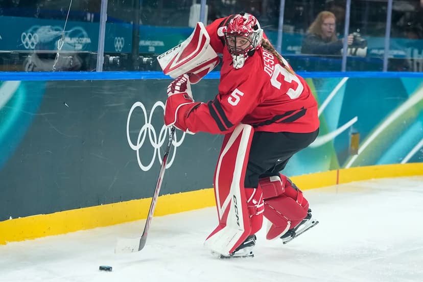 Winter Olympics Hockey Boards to Change Color After Player Concerns