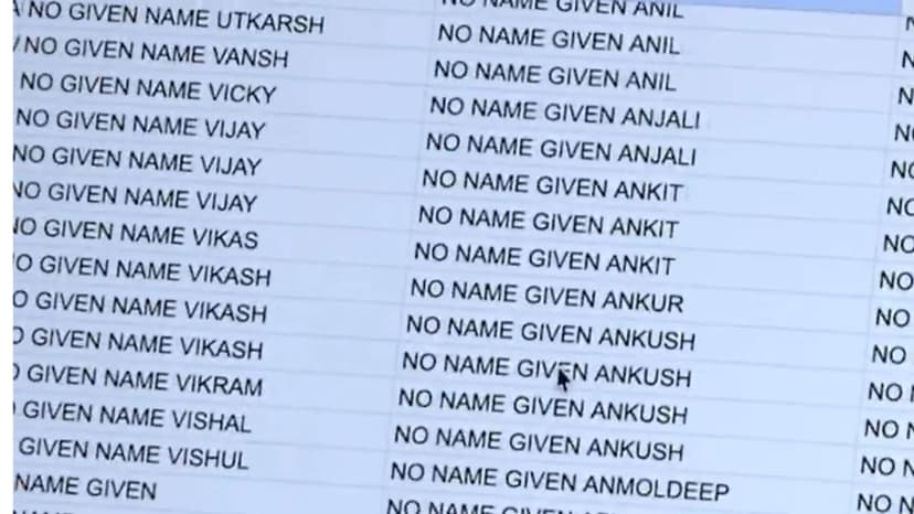 MAGA Activist Claims Thousands of US Trucking Companies Operate Under 'No Name Given'