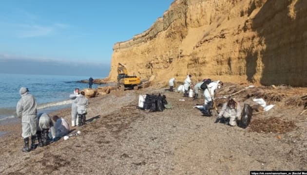 Crimea reports oil spills on beaches and waterfowl deaths, media says