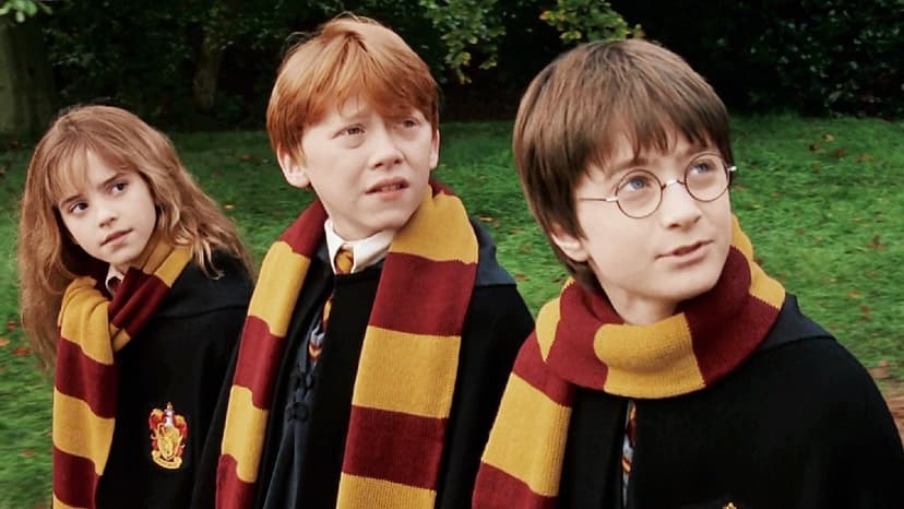 Daniel Radcliffe Discusses HBO's Harry Potter Series with Emma Watson and Rupert Grint