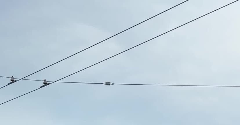 Start-Up Uses Bald Head Billboards for Microtargeted Advertising in Bay Area