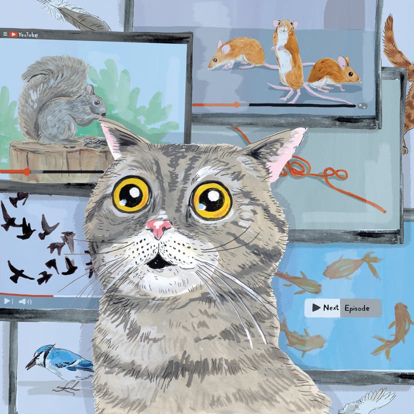 Pet-Oriented TV Content Gains Millions of Views