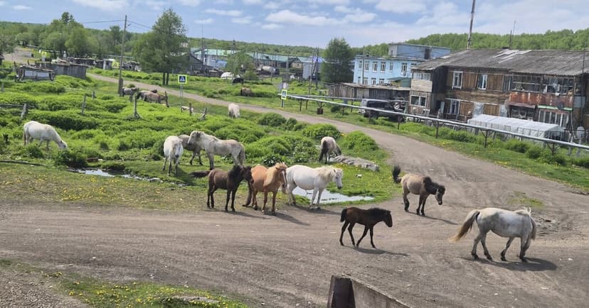 Russia Honors Villages for Contributions to Ukraine War Effort