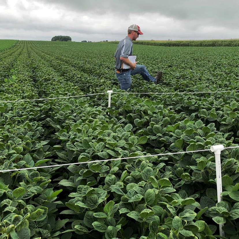 Controversial Weedkiller Dicamba Receives Green Light