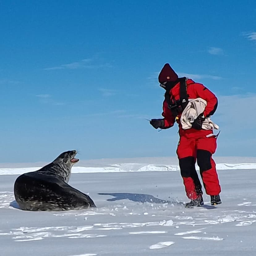 Scientists Explore Thwaites Glacier in Antarctica to Understand Melting