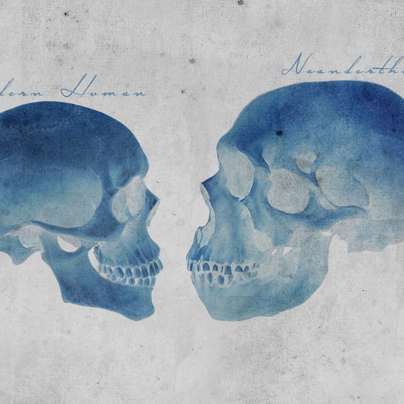 Study Suggests Human Women and Neanderthal Men Were Primary Mating Pairs