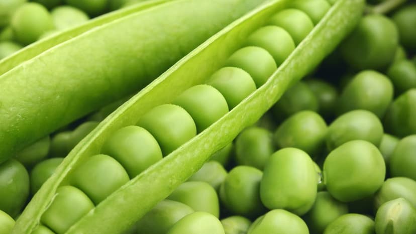The Green Pea's Connection to Science on National Science Day