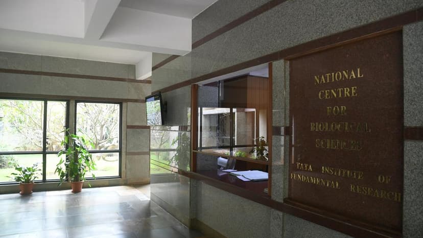 Archives at NCBS to Launch Over 80,000 New Archival Objects