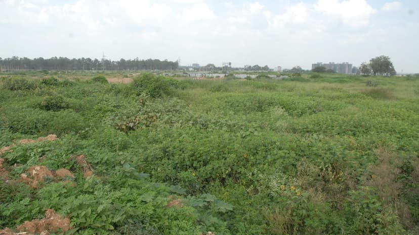 Bengaluru East Corporation Struggles with Park Deficit