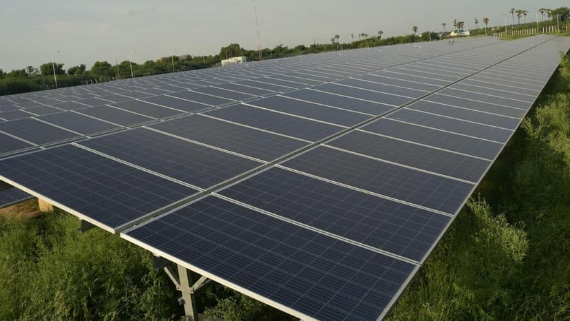 NGO Calls for Mandatory Environmental Clearance for Large-Scale Solar Projects in Tamil Nadu