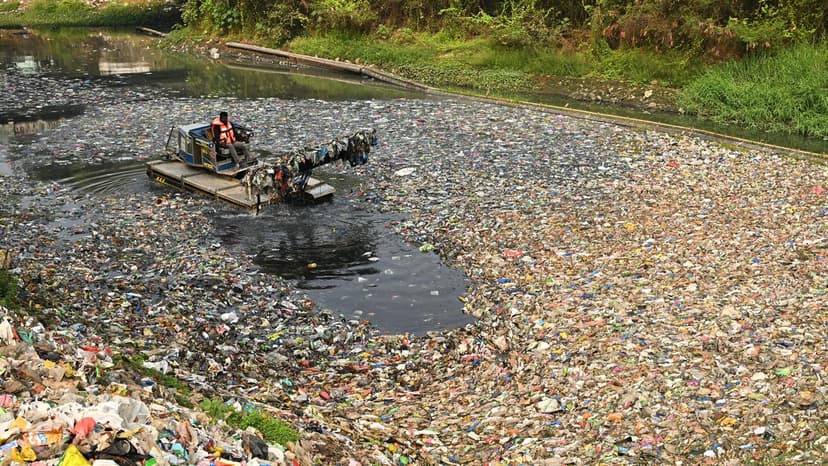 Pollution Linked to Mental Health Issues, EU Agency Suggests Nature-Based Solutions