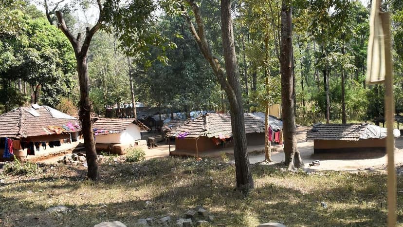 Tribal Affairs Ministry to Revamp Forest Rights Cells