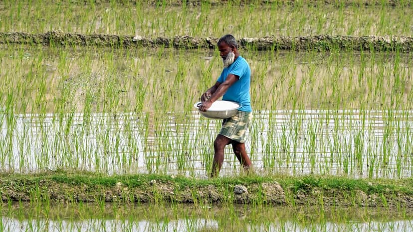 Indian Government Assures Adequate Fertilizer Stocks for Kharif Season