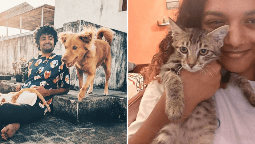 Pet sitting emerges as a growing side hustle for Chennaiites