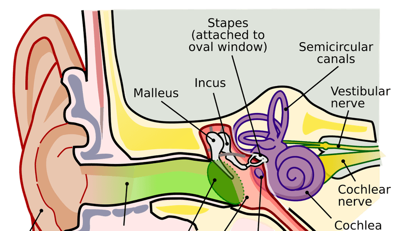 Quiz: On hearing health