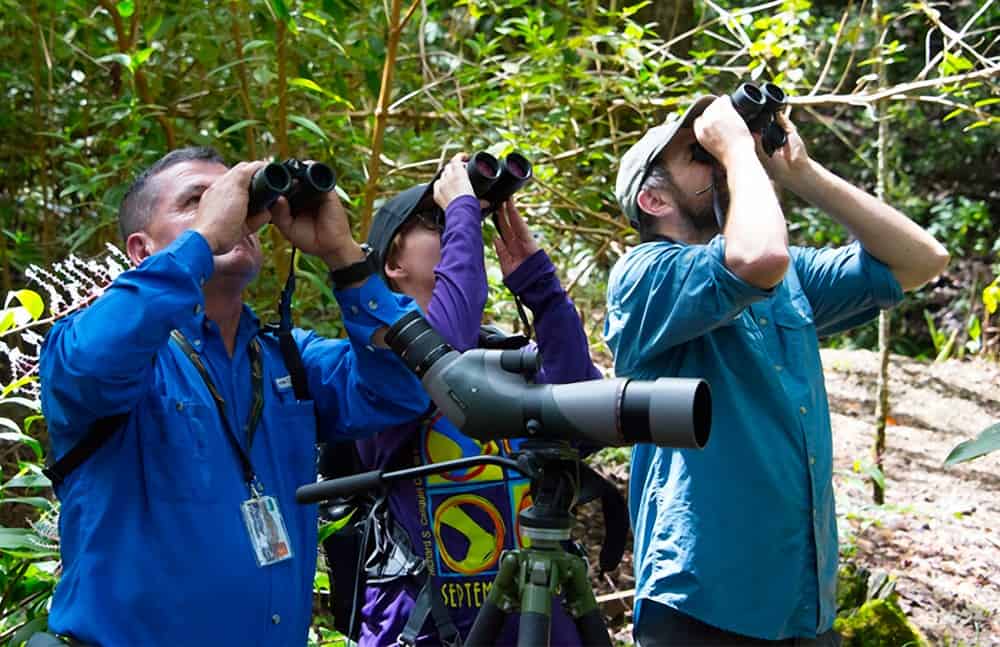Costa Rica Birdwatching Route Network Expands