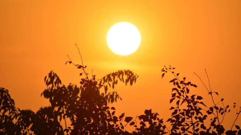 Texas Records Potentially Highest Temperature in US History Amid Heatwave