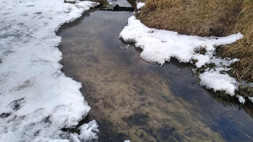 Thaw and Rising River Levels Prompt Warnings Across Poland