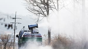 S. Korea reports 1 new bird flu case; total rises to 49