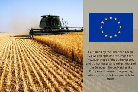 EU Establishes First Criteria for Carbon Removal Certification