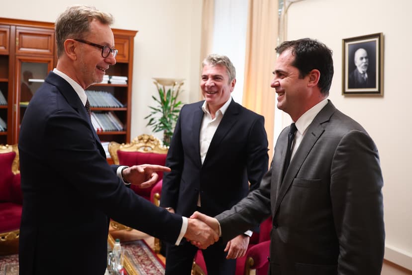 EU Ambassador Meets Albanian Electoral Reform Co-Chairs
