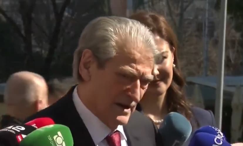 Berisha Meets with PPE Fact-Finding Mission, Discusses Elections and 'Narco-State'