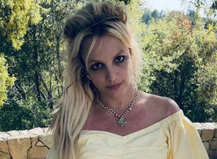Spears disappears from Instagram after arrest