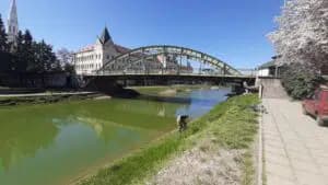 Roma Union of Serbia Demands Accountability After Body Found in Lake