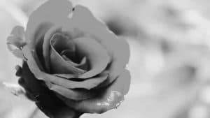 Former Yugoslav Diplomat Vladislav Jovanović Dies at 93