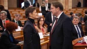 Serbian Parliament Speaker Affirms EU Path in Budapest