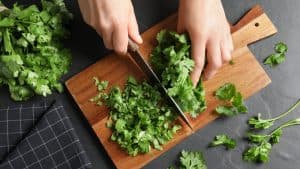 Coriander Seeds Linked to Lower Cholesterol and Blood Pressure