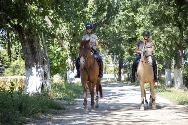 Vojvodina - your adventure at a relaxed pace starts here