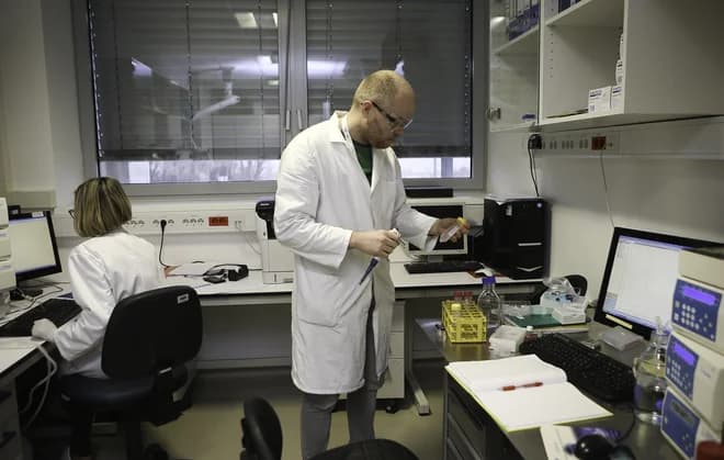 Slovenian High Court Confirms Invalid Transfer of Bia Separations Rights