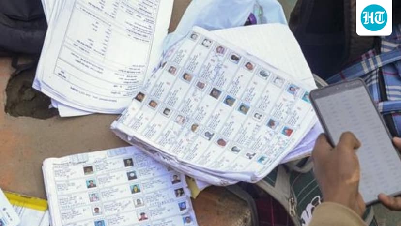 Goa only state to log voter dip from draft rolls, down by 2.5%