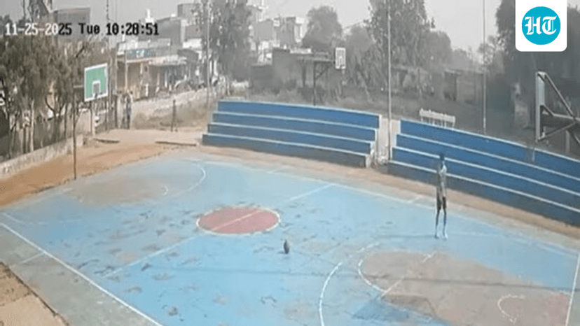 Human Rights Commission Investigates Haryana Teenager's Death