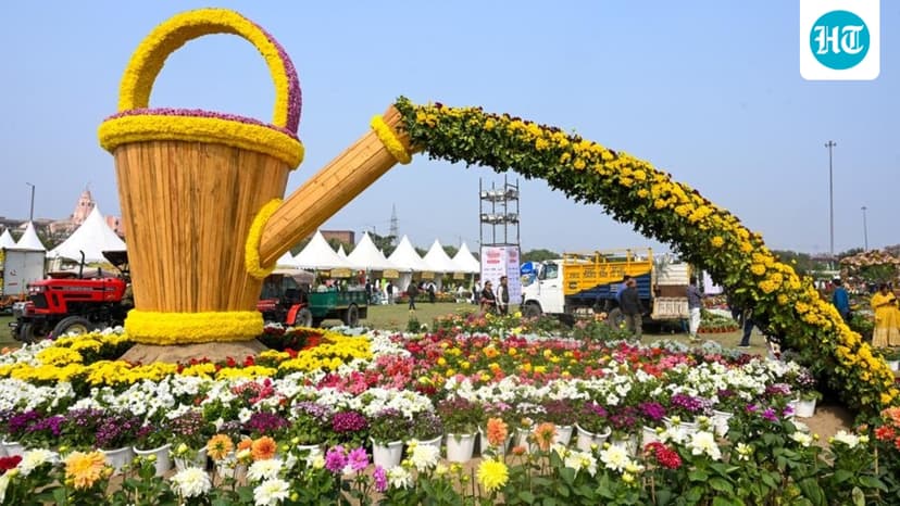 Visitors steal flowers from Noida Flower Festival, outrage after video surfaces