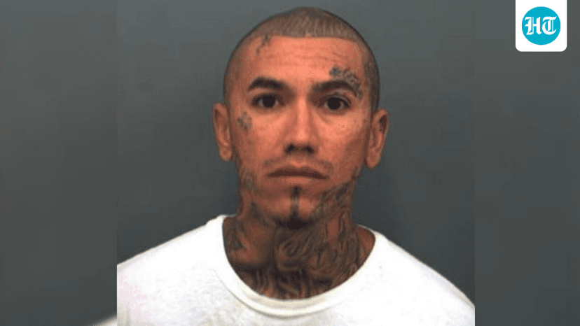 Laura Lynch crash: Who is Domenick Chavez? Driver sentenced 15 years for Dixie Chicks founder's killing