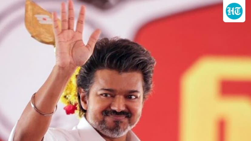 Adultery, emotional neglect and betrayal: 10 points from Sangeetha's divorce plea against TVK chief Vijay