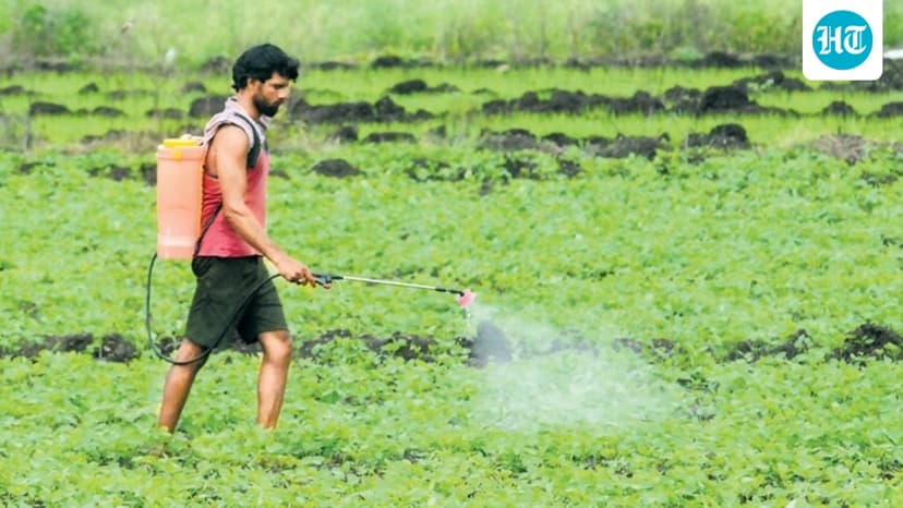 West Asia Conflict: War-like conditions disrupt India’s fertiliser supply, shipping cost doubles