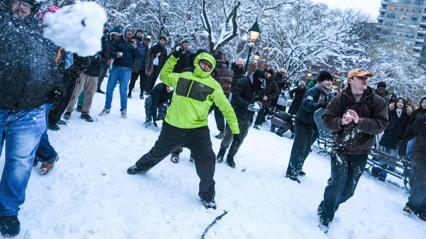 New York Police Investigate Snowball Fight with Injured Officers