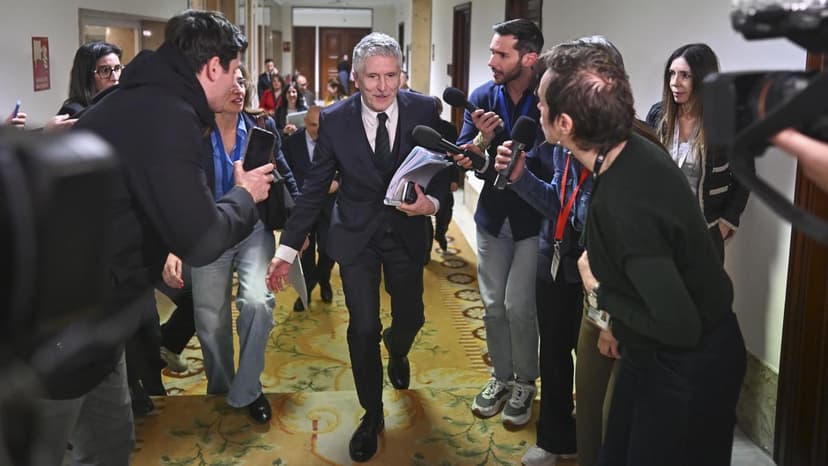 Spanish Interior Minister Announces Inspection of Police Harassment Protocol